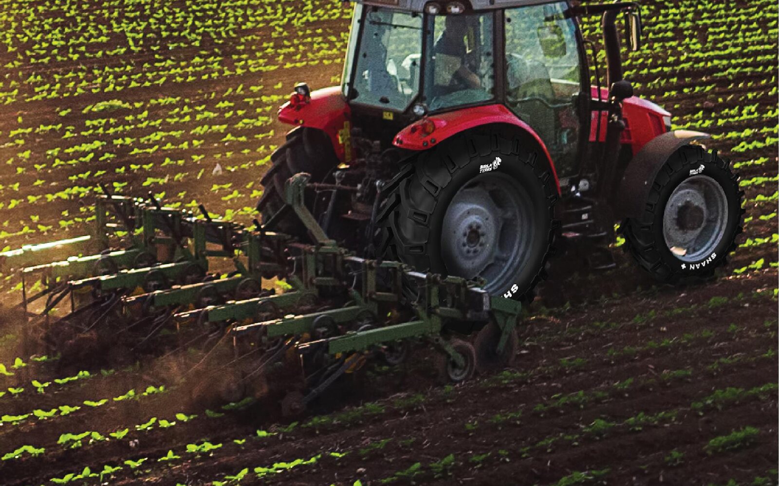 Birla Agriculture tyres